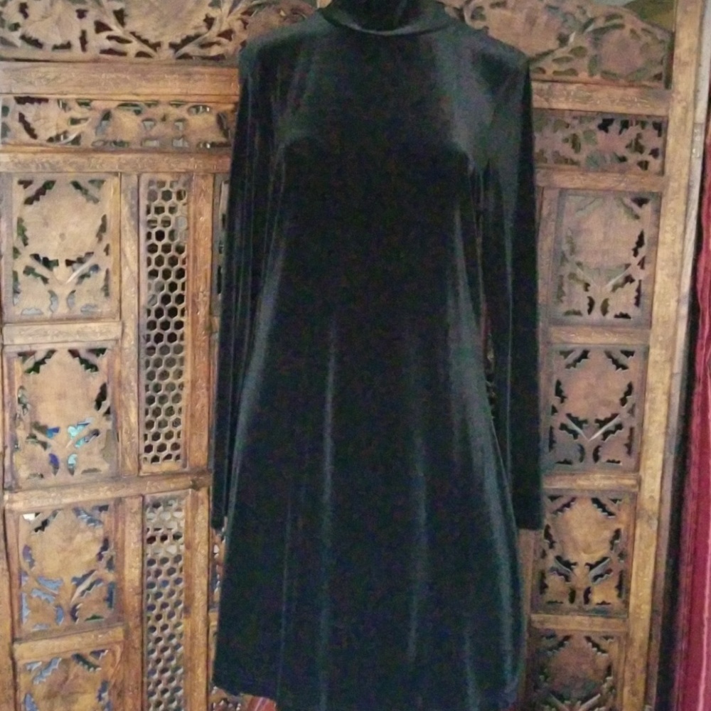 Velour turtle neck dress